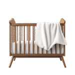 Aenean leo ligula bed